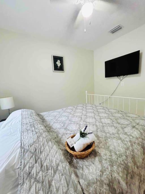 Villa Vintage Family Scape + Heated Pool&Discount Tampa Exterior foto